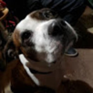 Meet your Posher, Jordy